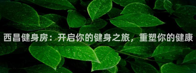 尊龙凯时平台信誉怎样