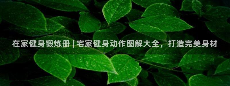 凯时AG登录入口官方版