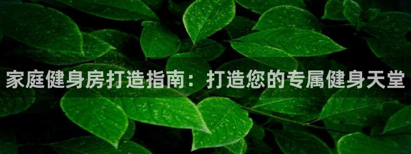 尊龙凯时人生就是博官网登录